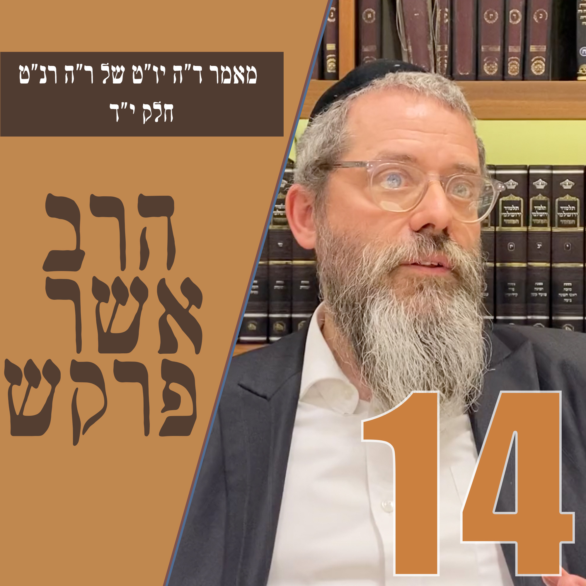 מאמר ד״ה יו״ט של ר״ה רנ״ט - חלק י״ד