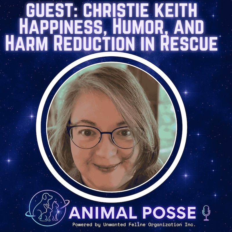 Artwork for podcast Animal Posse