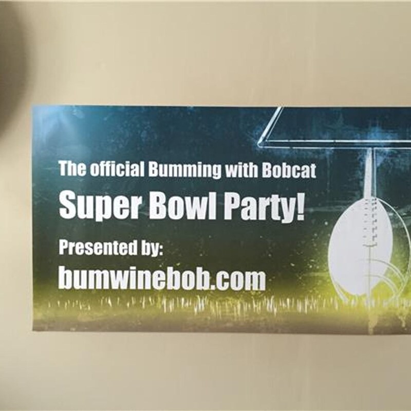 Artwork for podcast Bumming with Bobcat