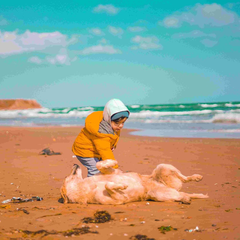 Artwork for podcast Ακούγοντας με την Γεωργία,αφηγήσεις