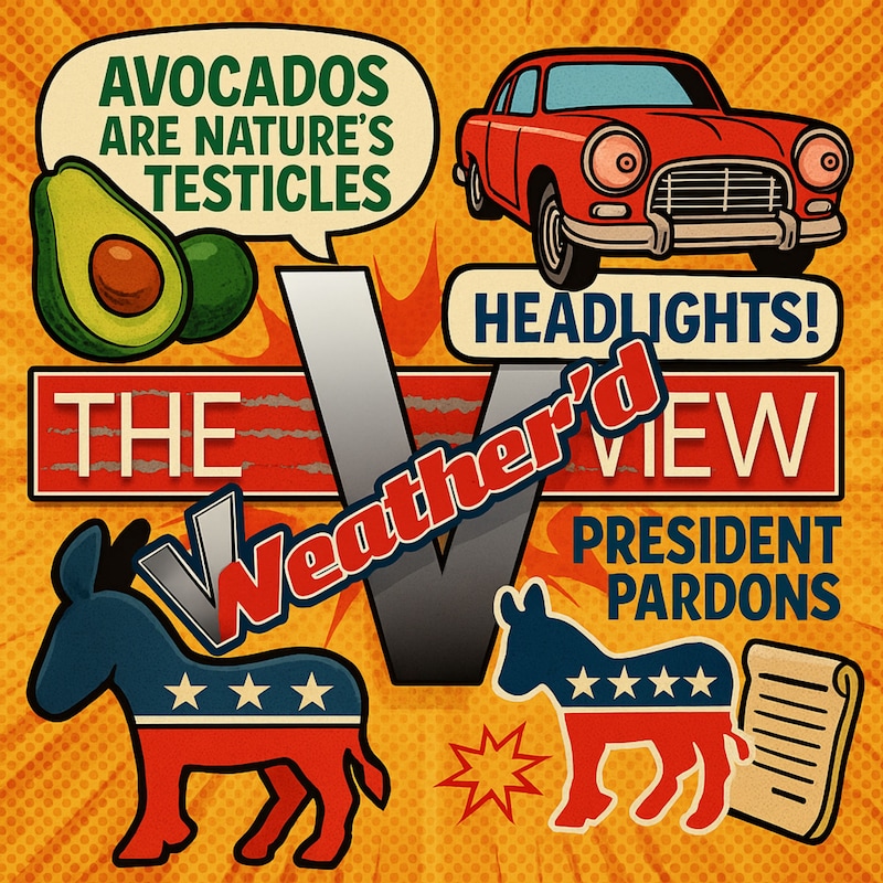 Artwork for podcast The Weather’d View