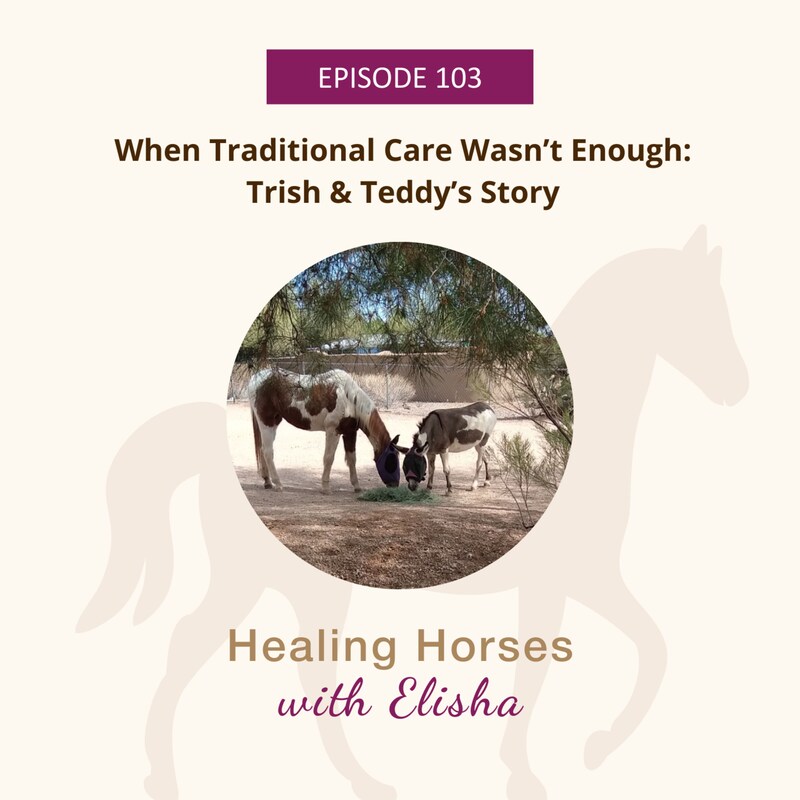 Artwork for podcast Healing Horses with Elisha