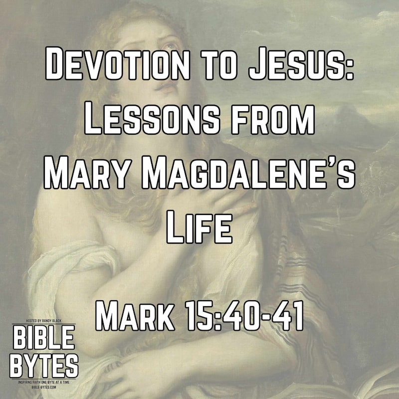 Artwork for podcast Bible Bytes