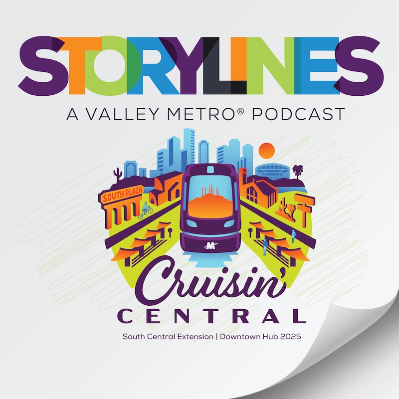 Artwork for podcast Storylines