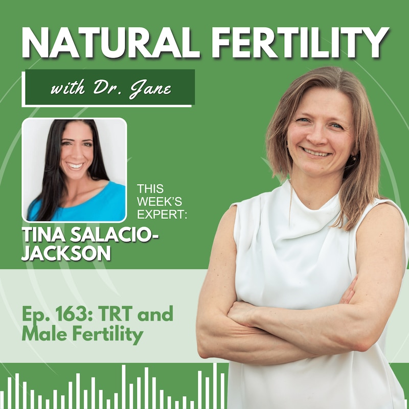 Artwork for podcast Natural Fertility with Dr. Jane