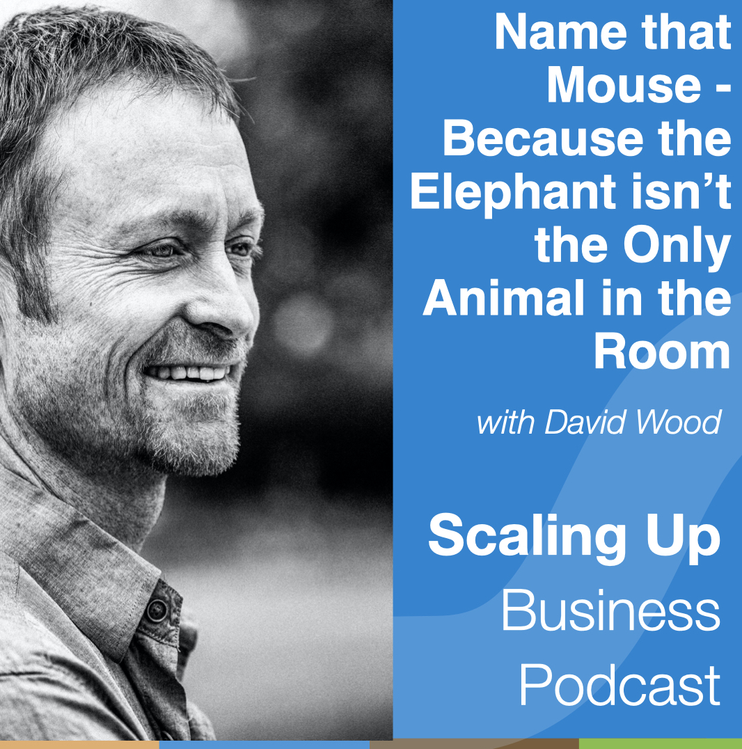 Scaling Up Business with Bill Gallagher