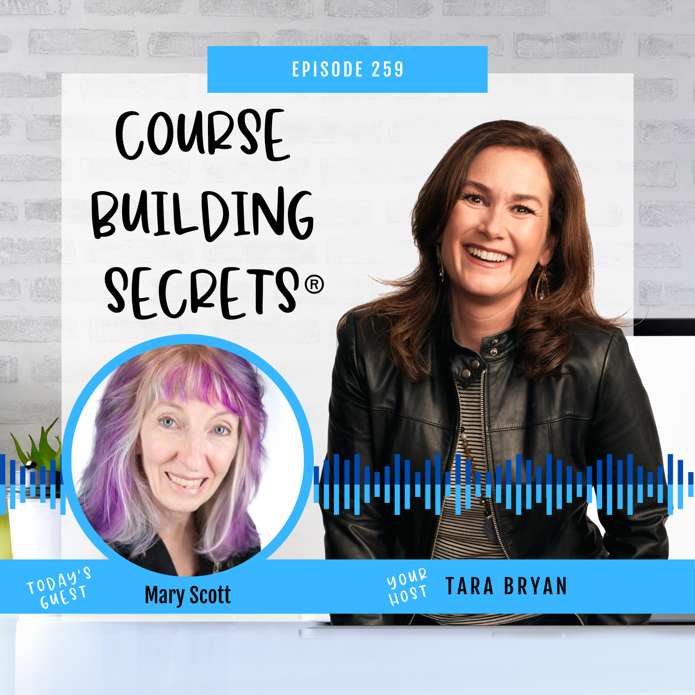 How to Set Up Your Business For Success with Mary Scott