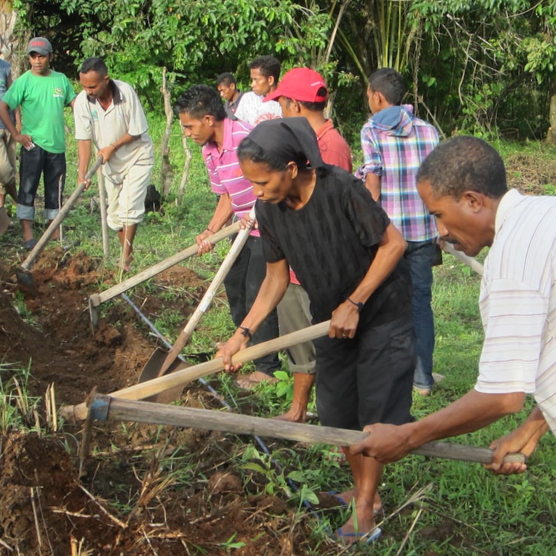 Artwork for podcast The Modern Humanitarian and Development Leader: Make a Greater Impact by Creating a High Performance Team while Avoiding Stress and Overwhelm