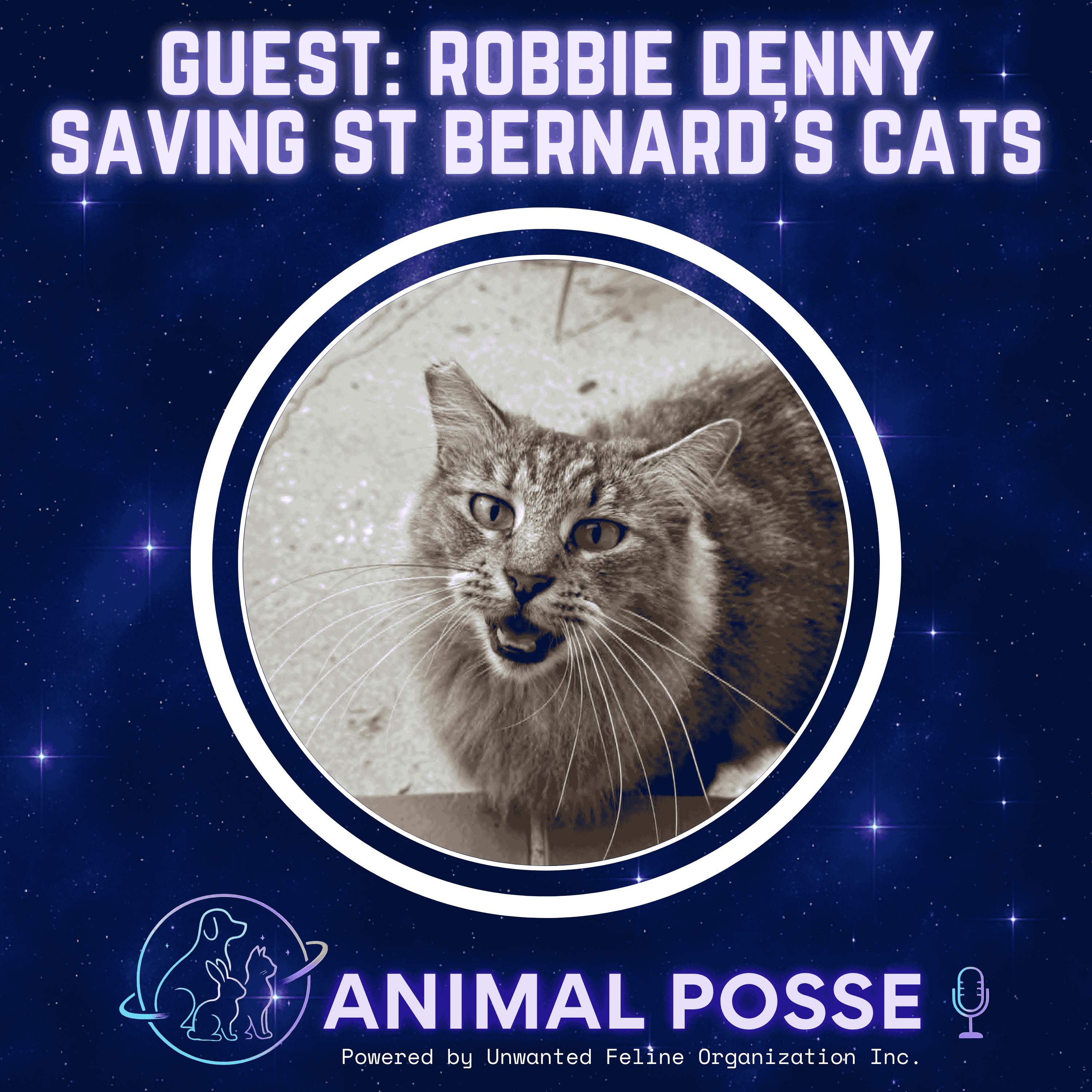 Saving St. Bernard’s Cats: How TNR Is Changing Everything