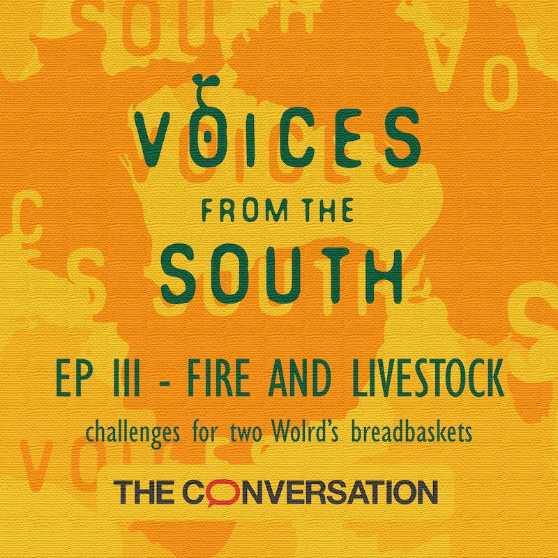 Artwork for podcast Voices from the South
