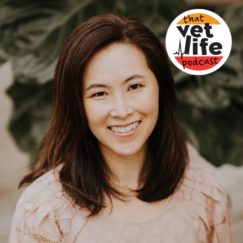 Artwork for podcast The 'So You're A Vet... Now What?' Podcast