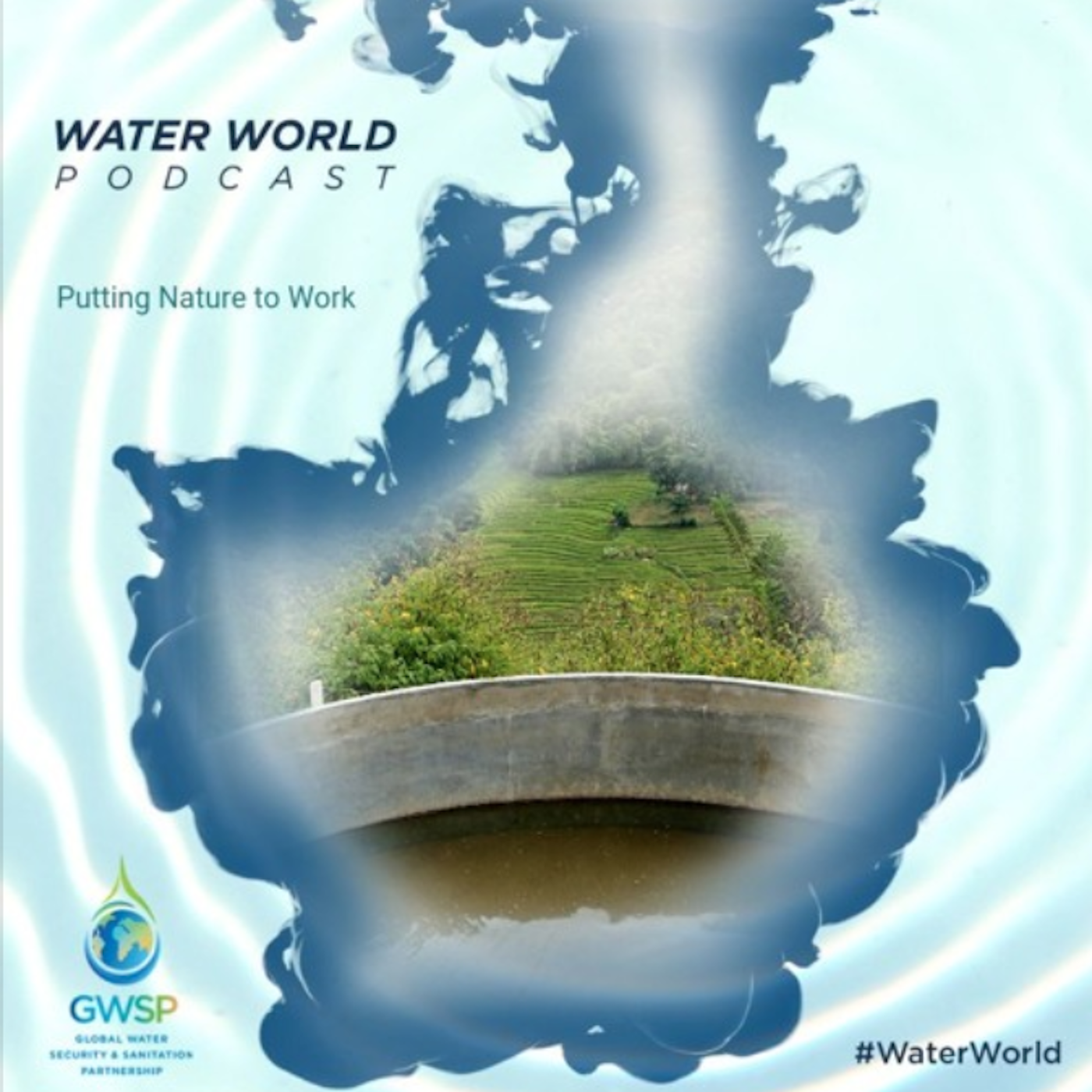 Artwork for podcast Water World
