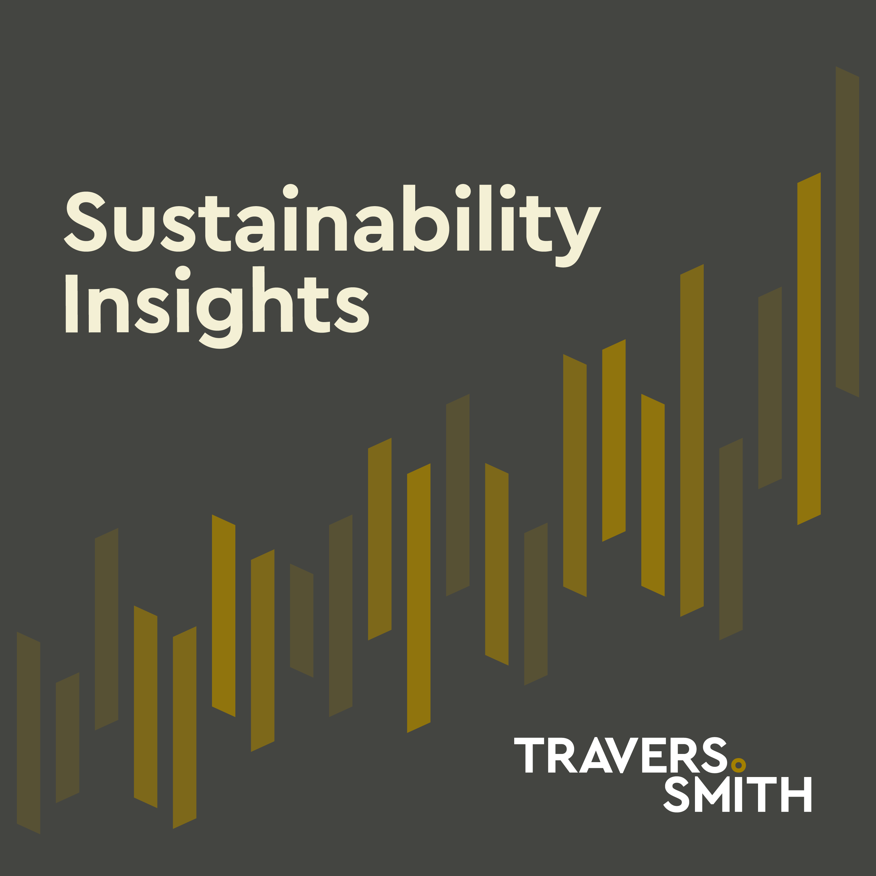 Sustainability Insights: Focusing on stakeholders episode artwork