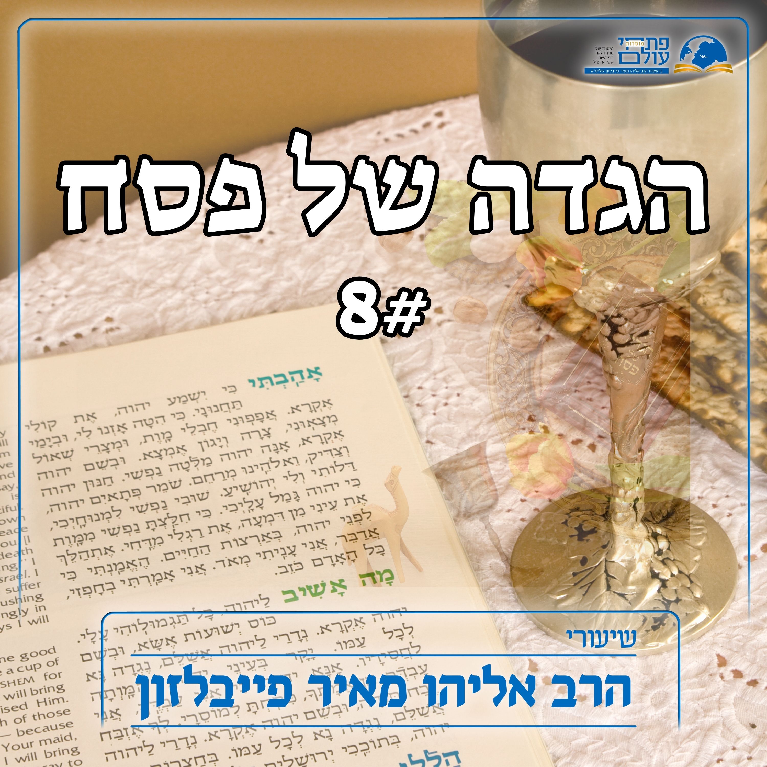 הגדה של פסח 8# - ביאור הניסים ועשרת המכות בהגדה episode artwork