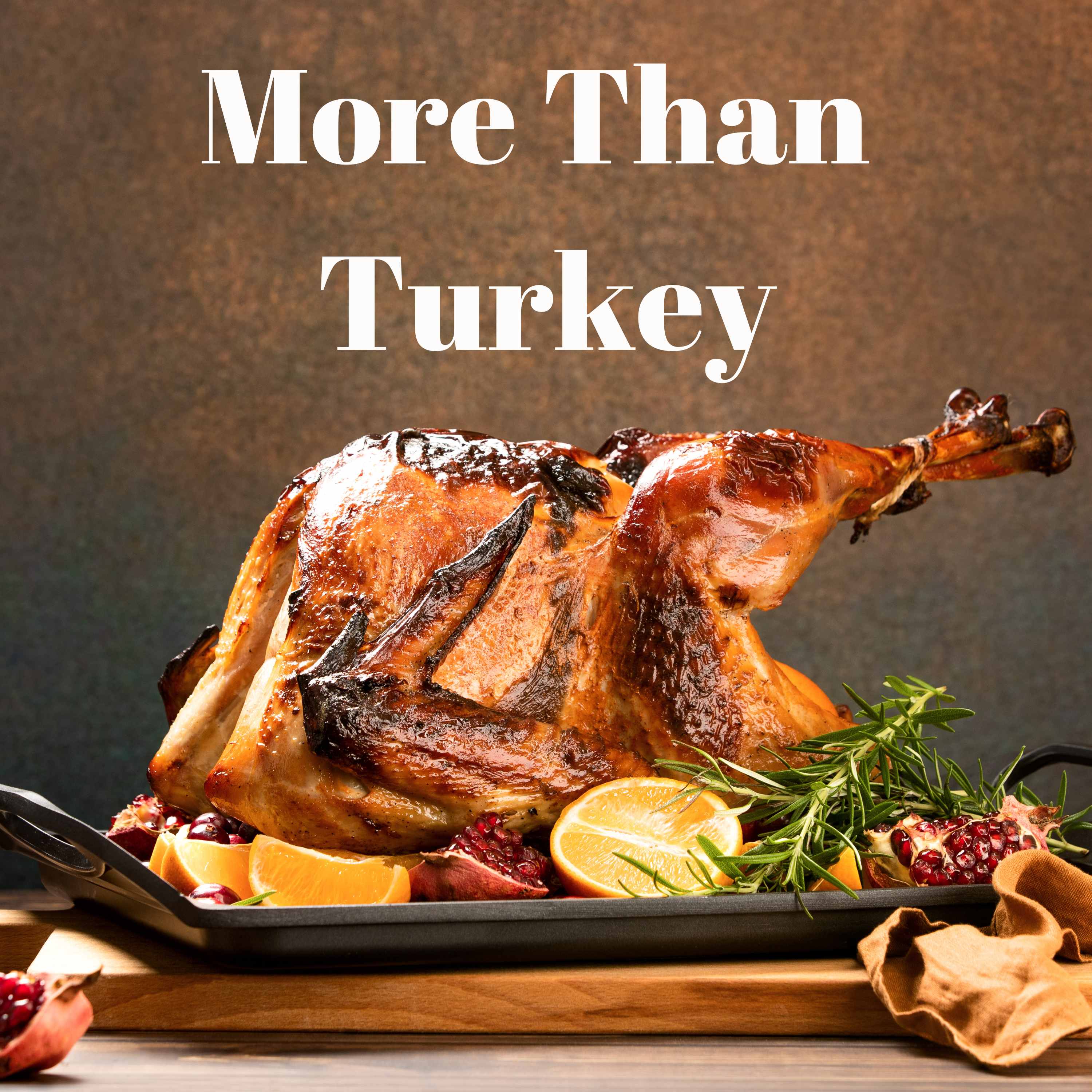 More Than Turkey (North OC) episode artwork