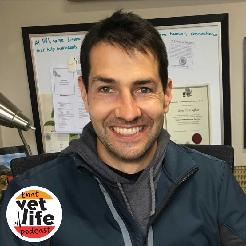 Artwork for podcast The 'So You're A Vet... Now What?' Podcast