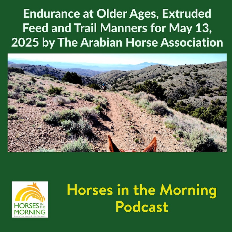 Artwork for podcast Endurance Rider