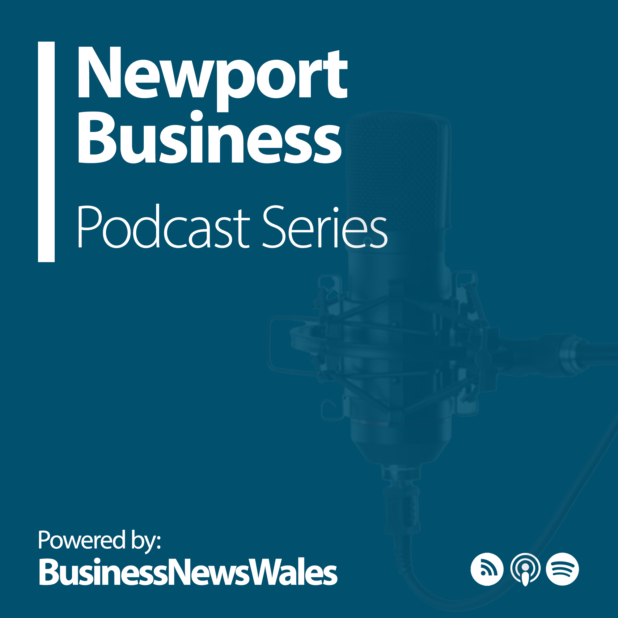 Show artwork for Newport Business