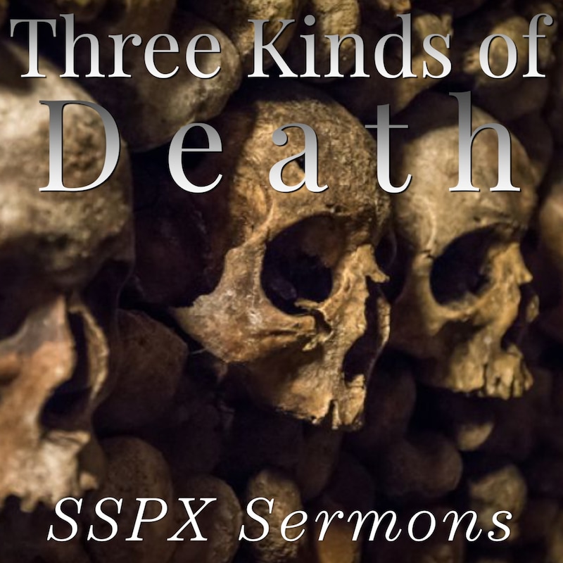 Artwork for podcast SSPX Sermons