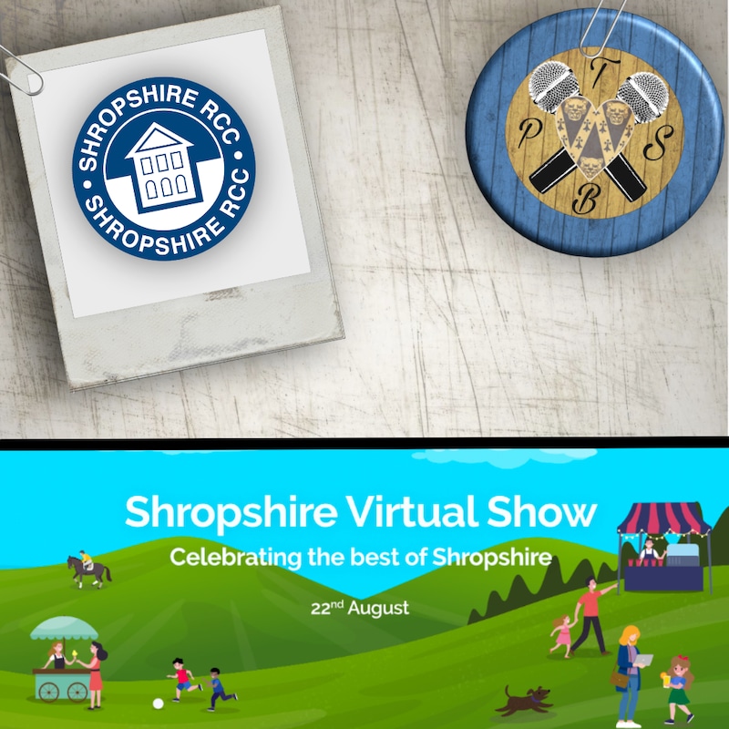 Artwork for podcast The Shrewsbury Biscuit Podcast