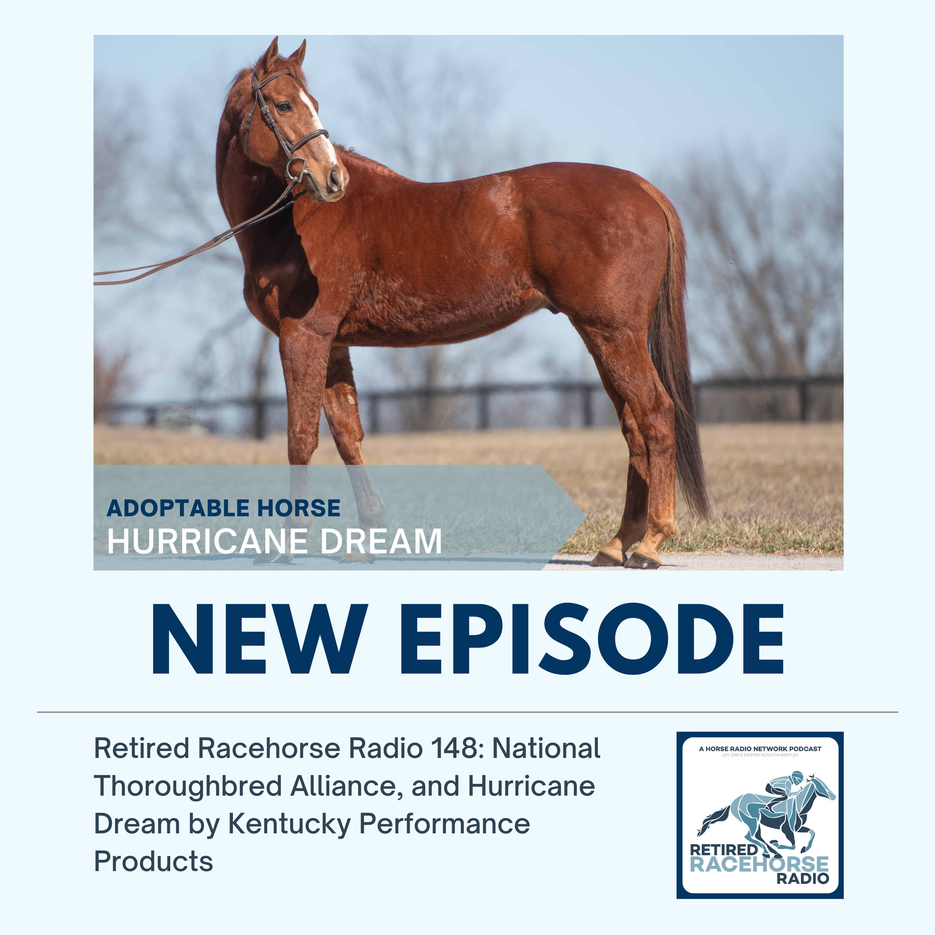 National Thoroughbred Alliance, and Hurricane Dream by Kentucky Performance Products - Retired Racehorse Radio