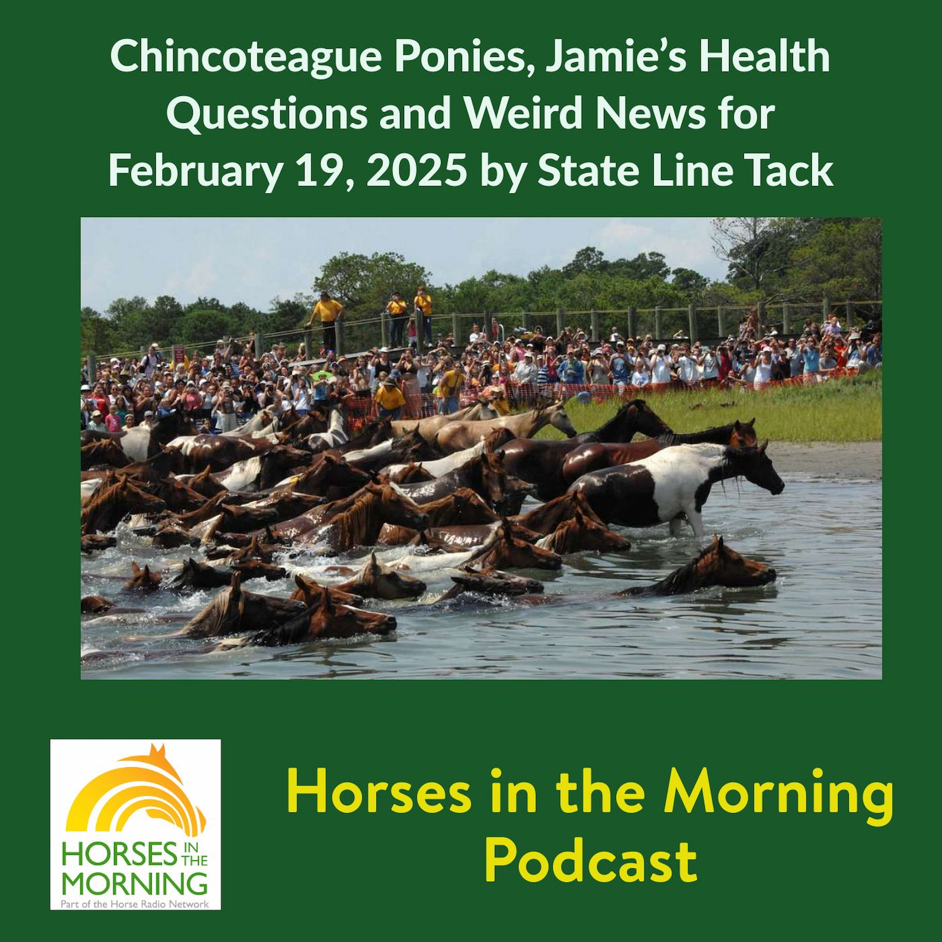 HRN Auditor Podcast