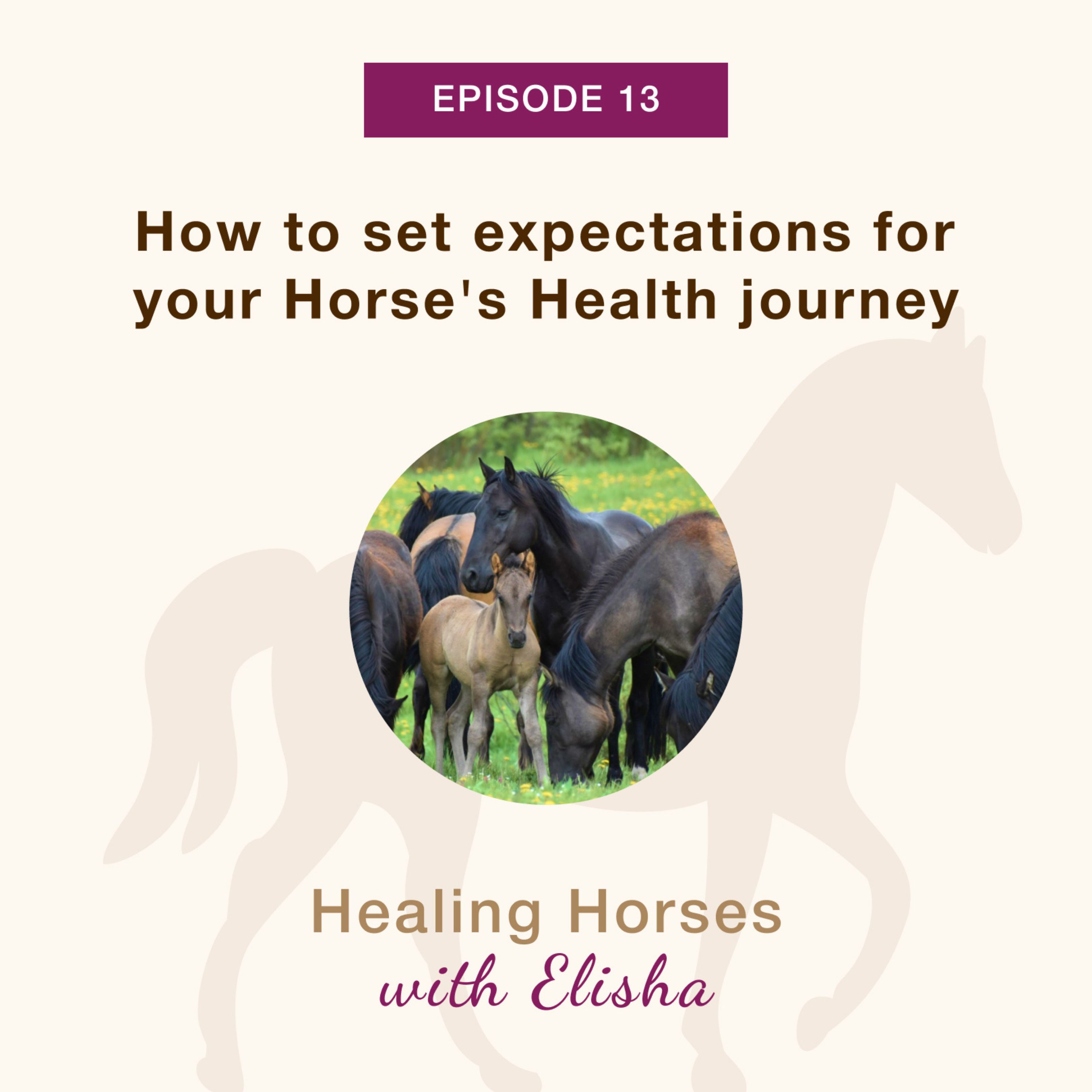 13: How to set expectations for your horse’s health journey