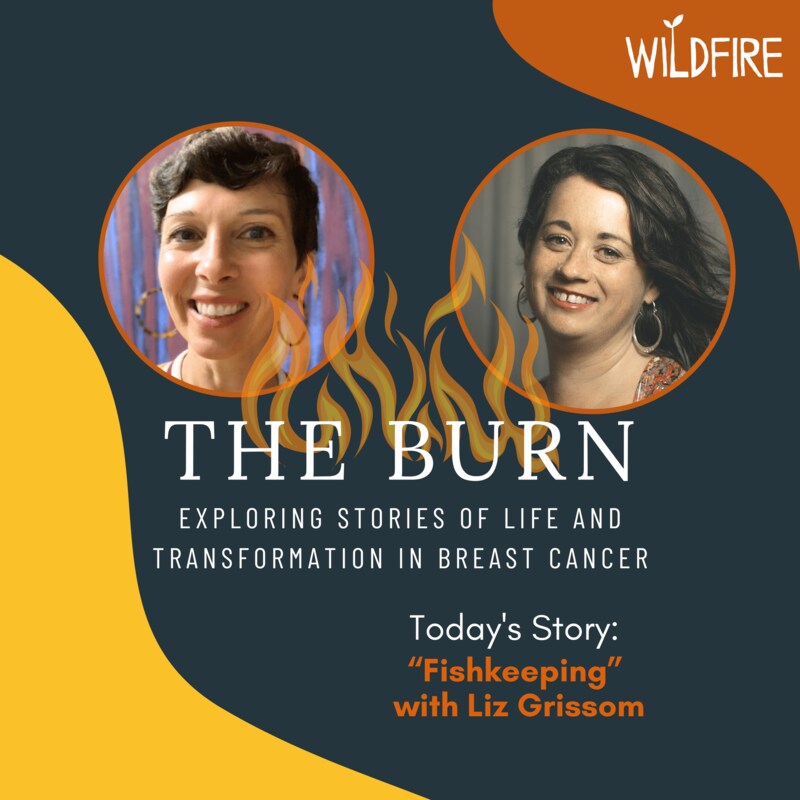 Artwork for podcast The Burn