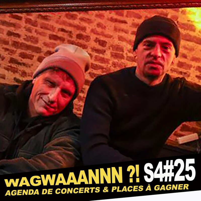 Artwork for podcast WAGWAAANNN ?!
