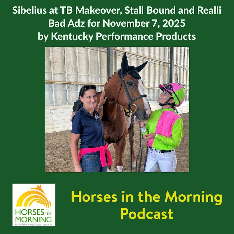 Artwork for podcast HORSES IN THE MORNING
