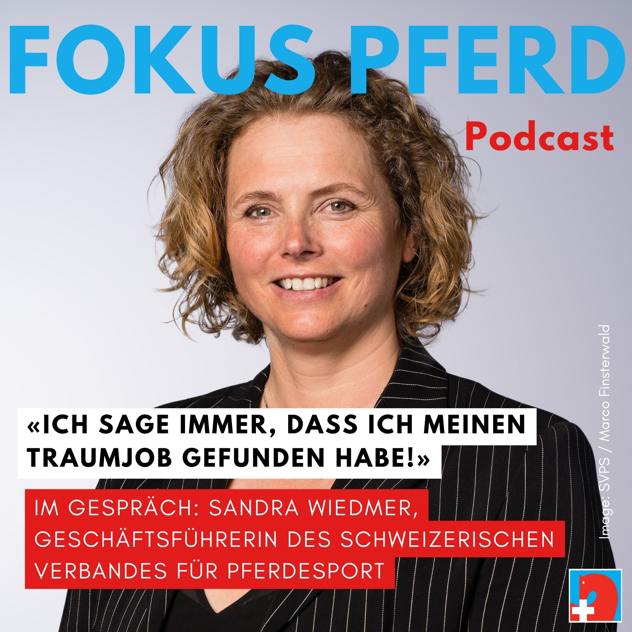 Artwork for podcast Fokus Pferd