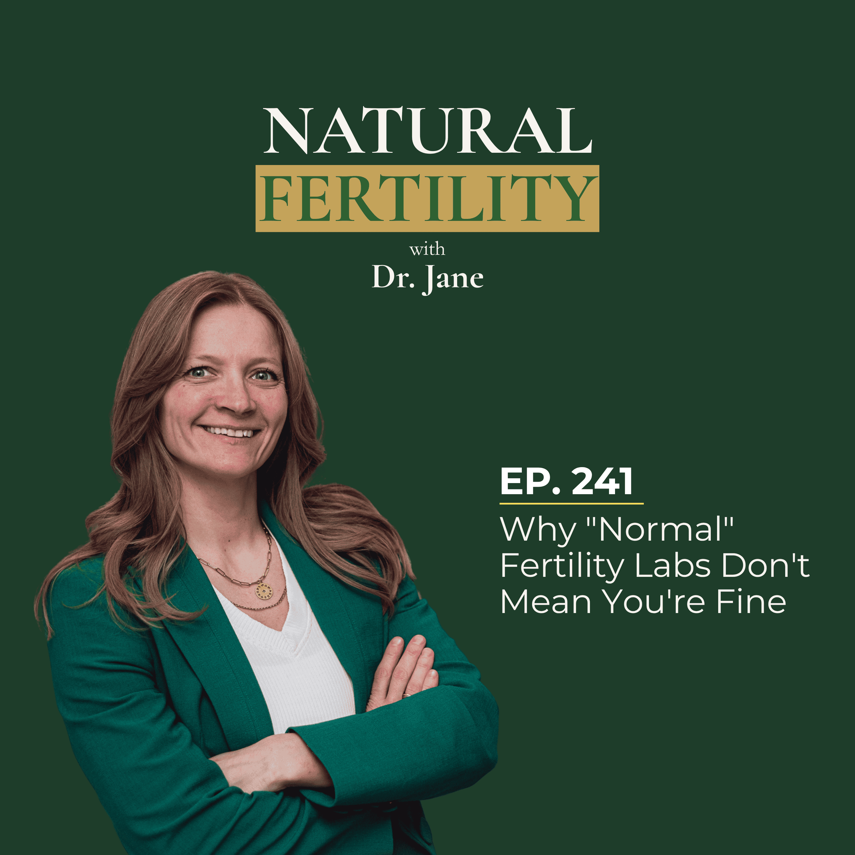 Ep.241: Why "Normal" Fertility Labs Don't Mean You're Fine episode artwork