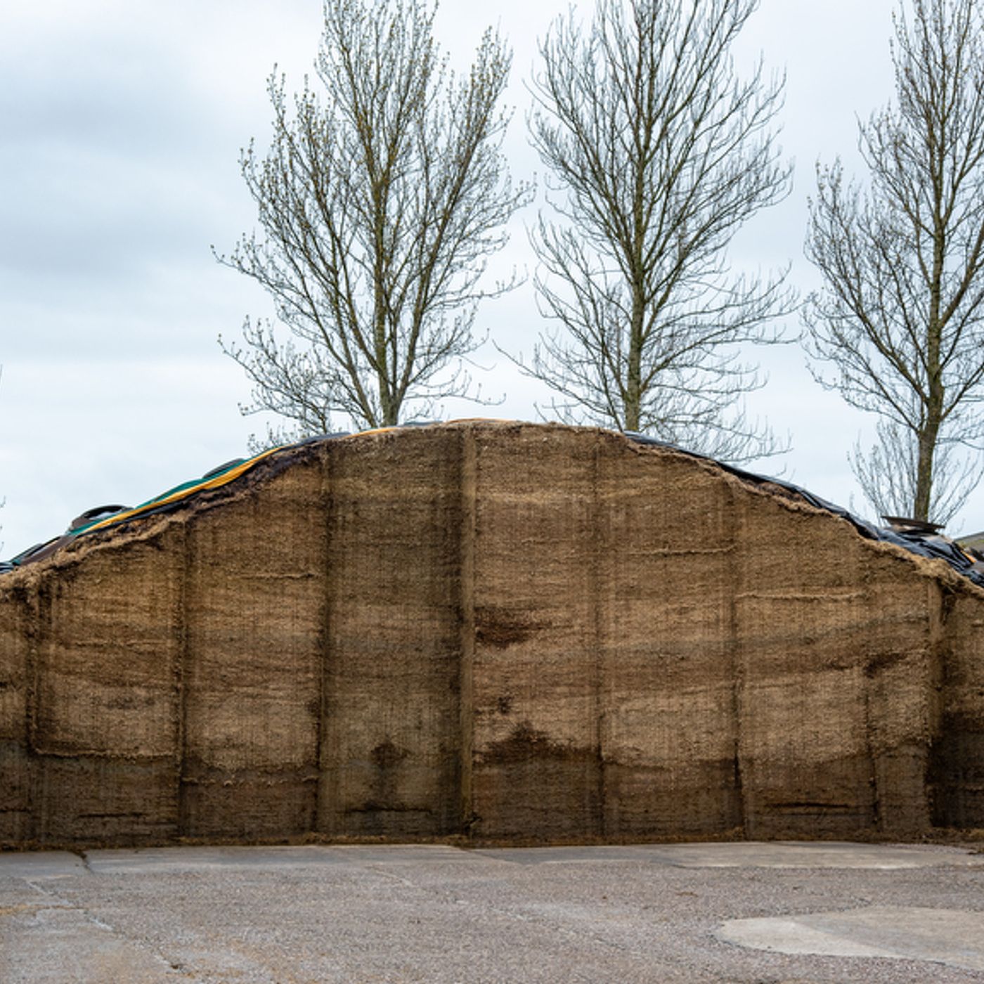 AHDB Food & Farming