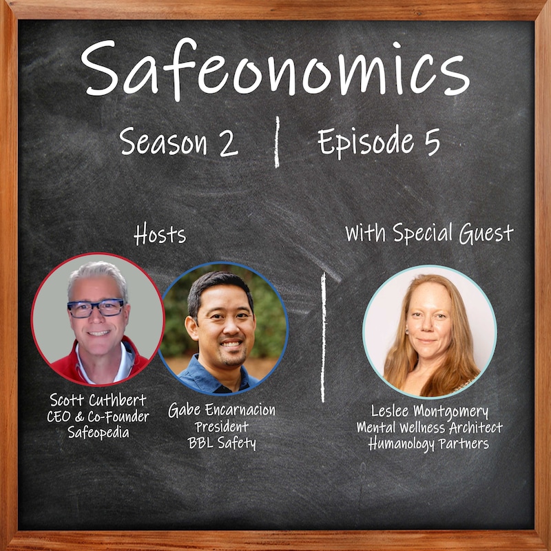 Artwork for podcast Safeopedia Podcasts
