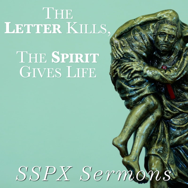Artwork for podcast SSPX Sermons