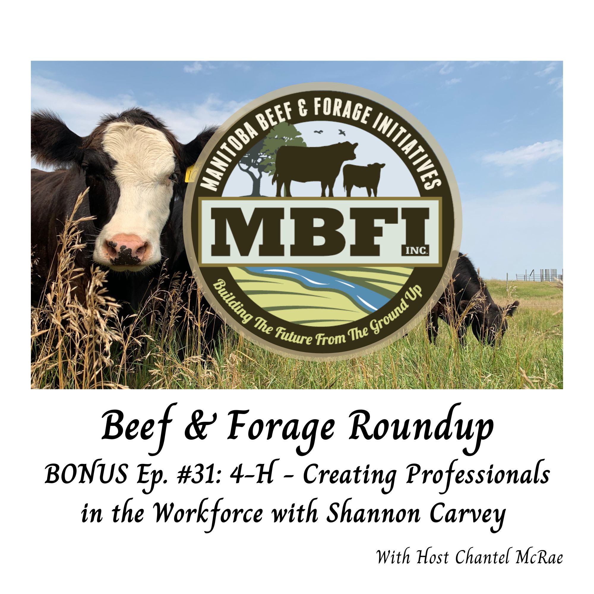 Beef and Forage Roundup
