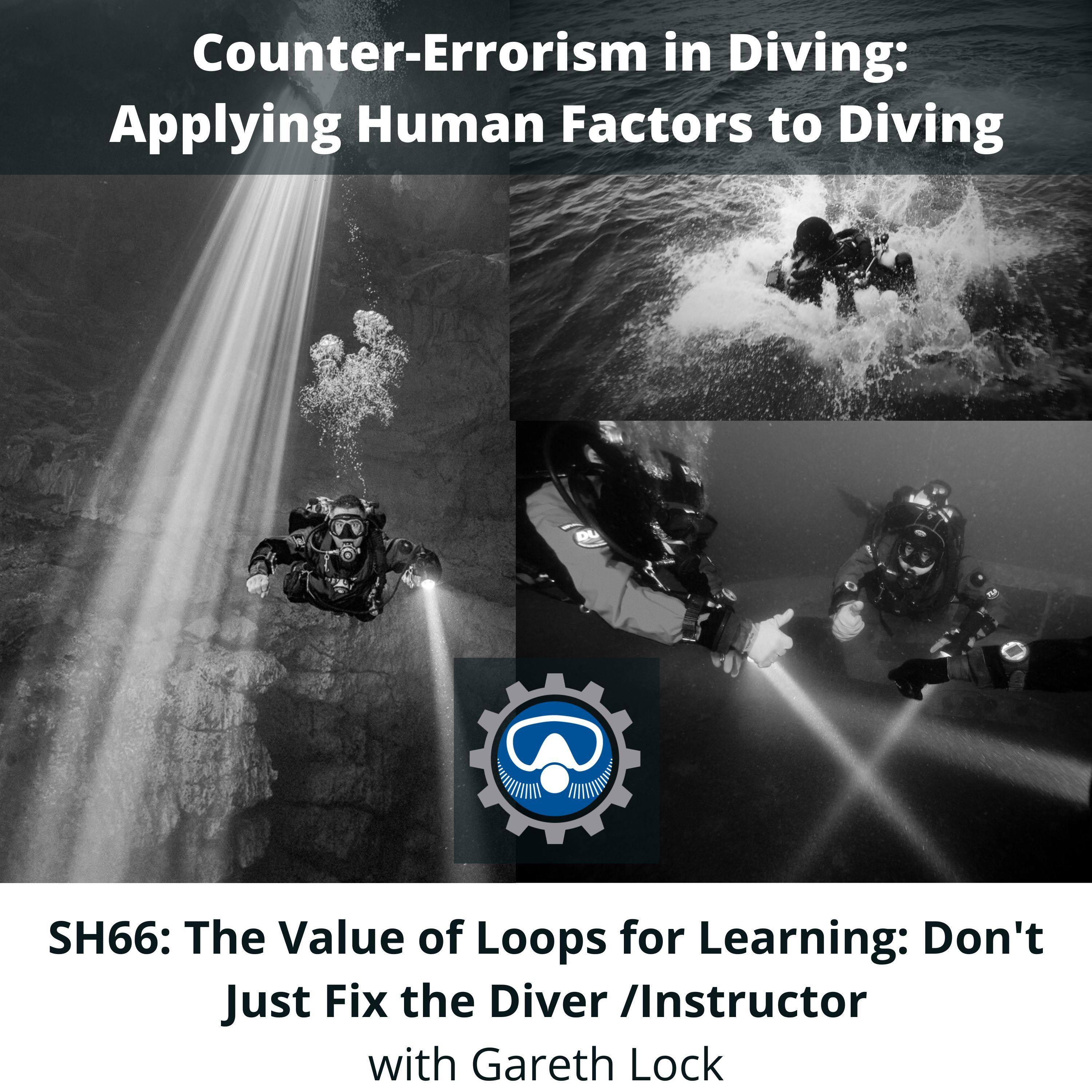 SH66: The Value of Loops for Learning: Don't Just Fix the Diver /Instructor