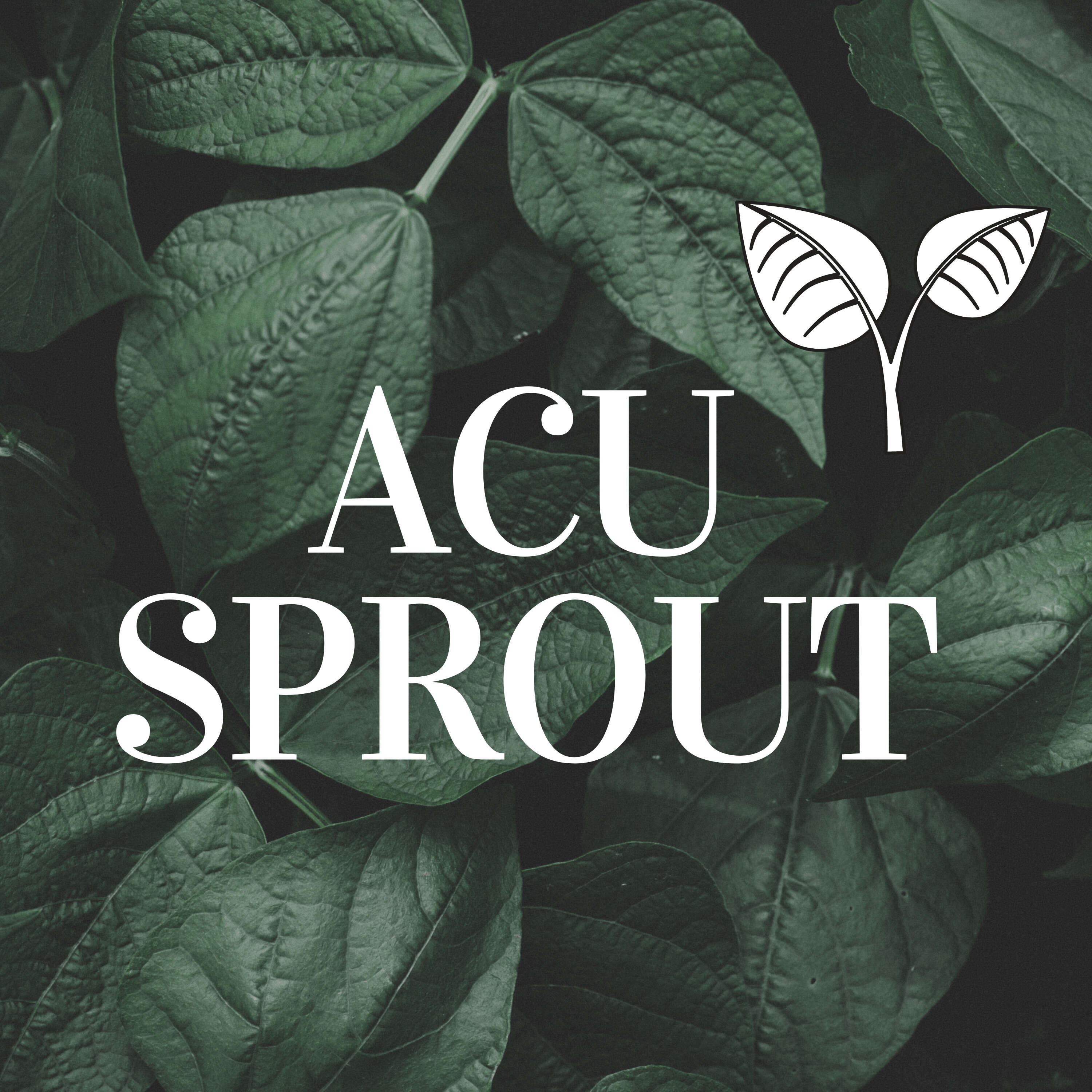 Artwork for AcuSprout: Acupuncture Podcast
