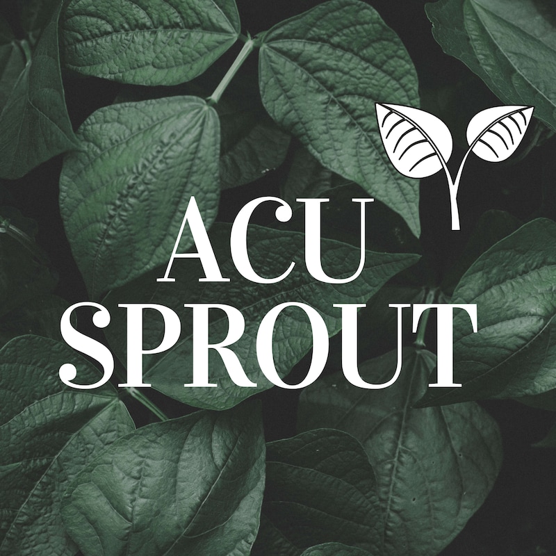 Artwork for podcast AcuSprout: Acupuncture Podcast