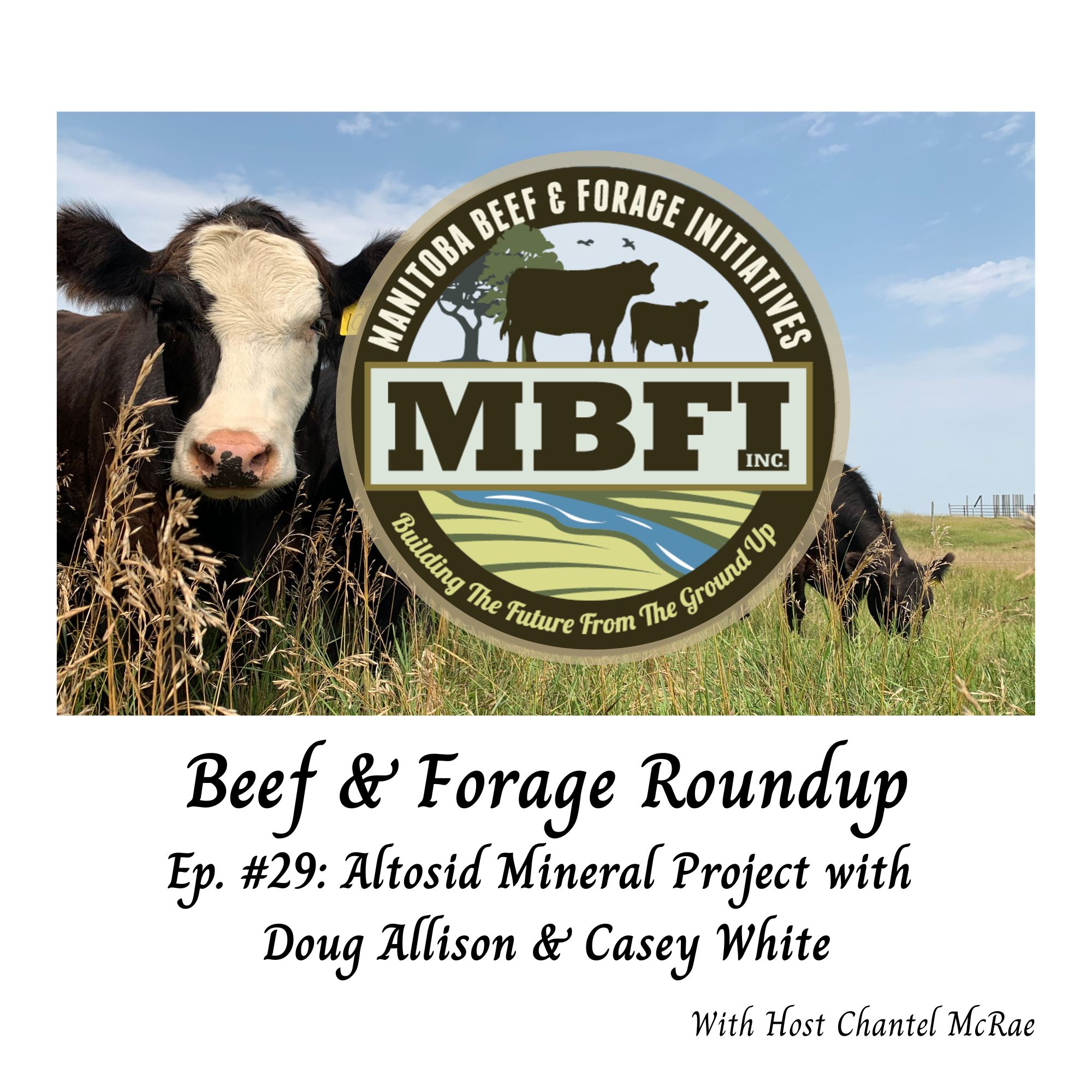 Beef and Forage Roundup