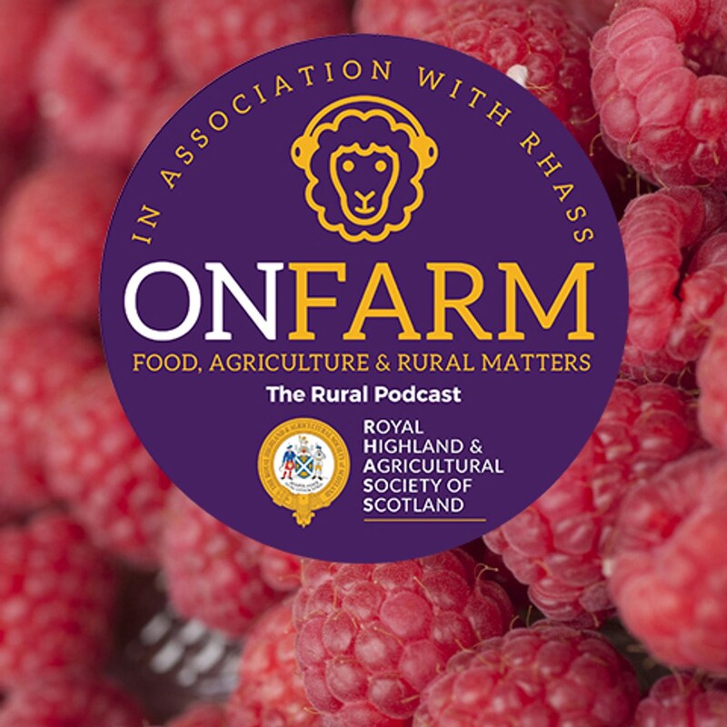 Artwork for podcast Recent projects