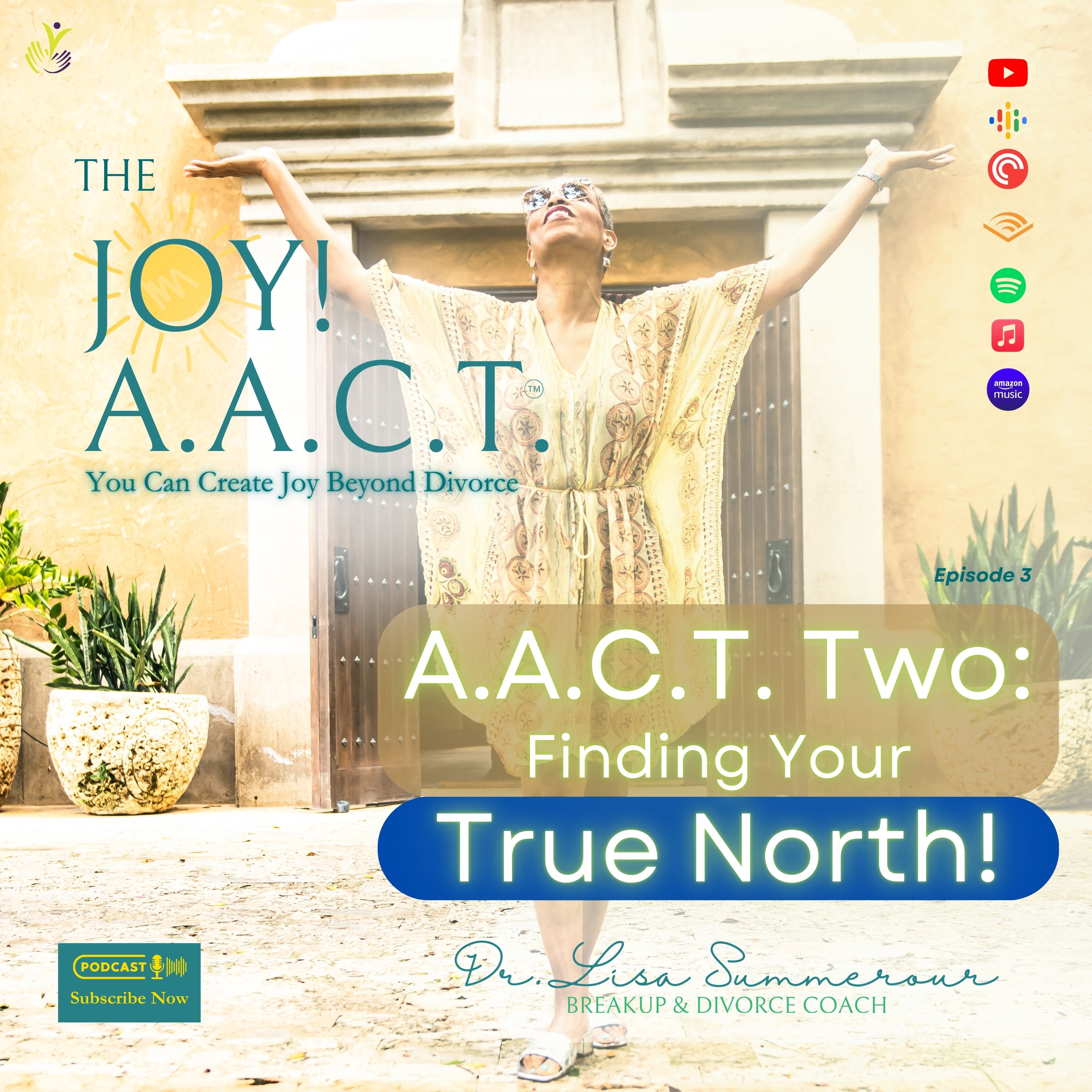 The Joy! A.A.C.T.™