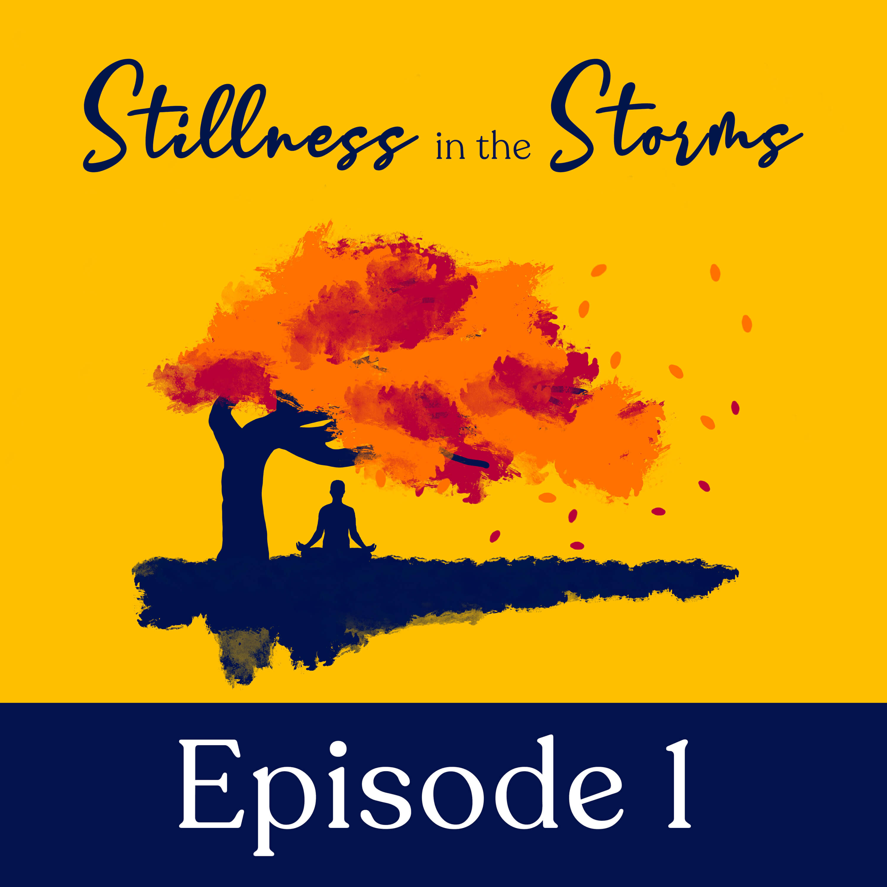 Artwork for podcast Stillness in the Storms