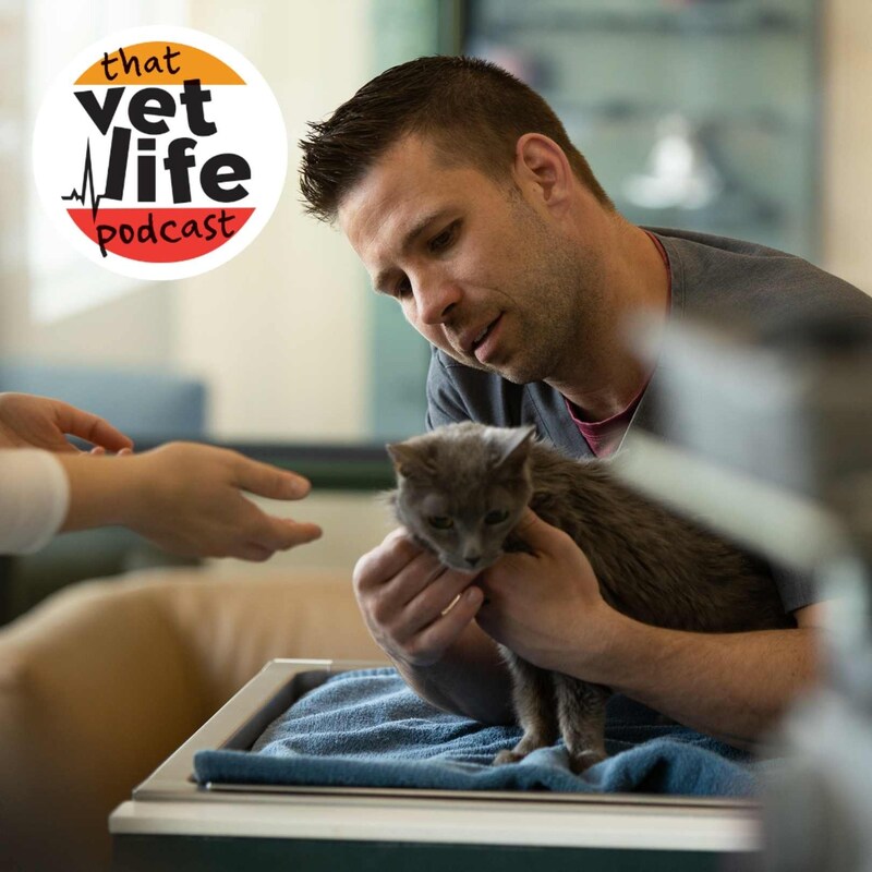 Artwork for podcast The 'So You're A Vet... Now What?' Podcast