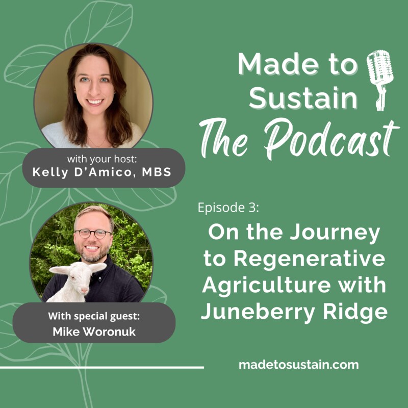 Artwork for podcast Made to Sustain