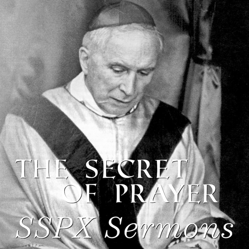 Artwork for podcast SSPX Sermons