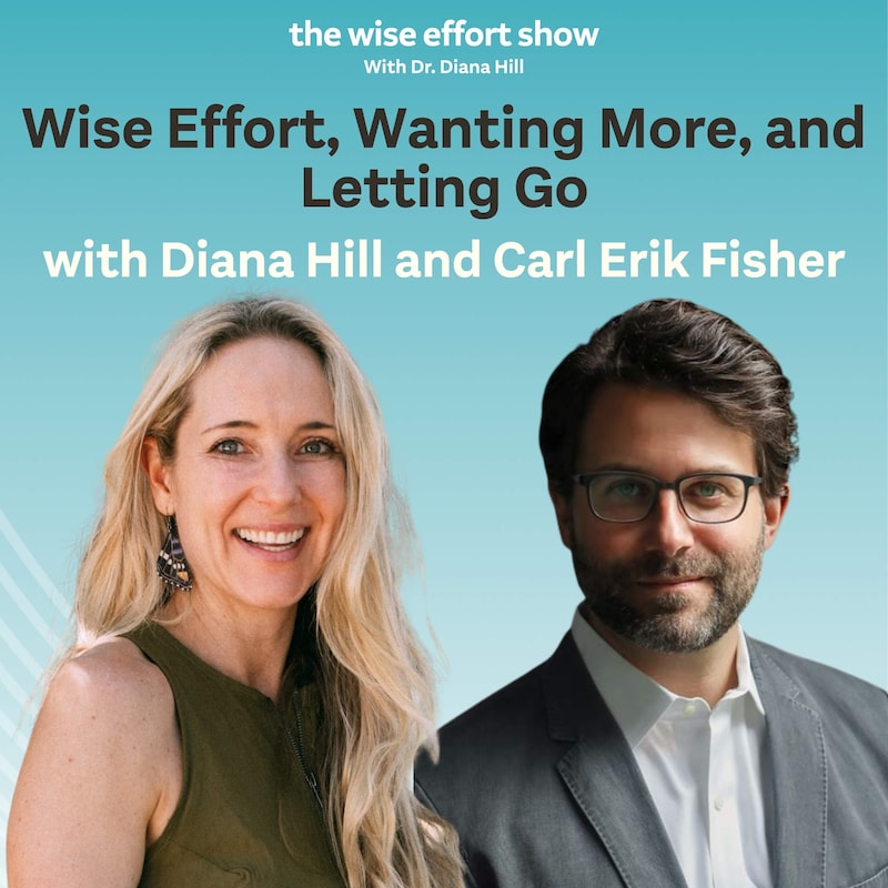 Artwork for podcast The Wise Effort Show