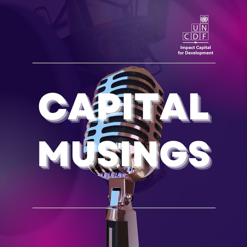 Artwork for podcast Capital Musings
