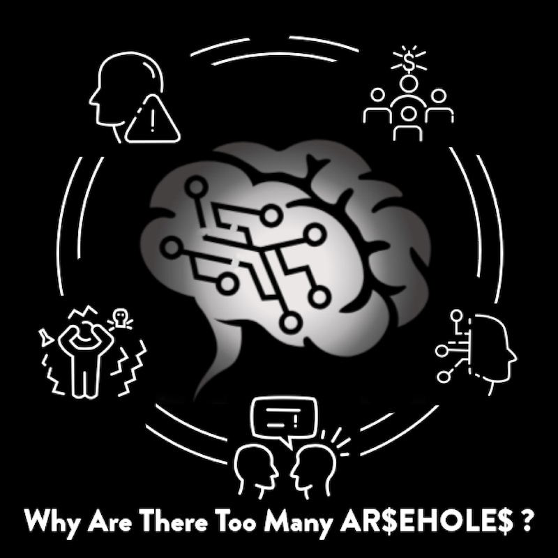 Artwork for podcast TOO MANY AR$EHOLE$