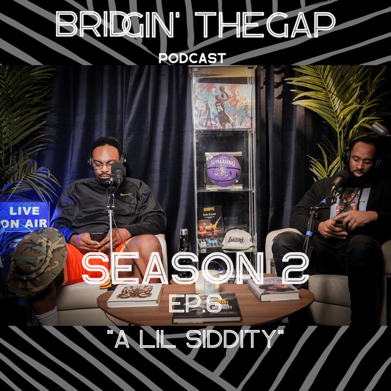 Artwork for podcast Bridgin' The Gap